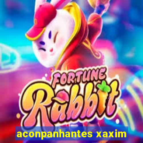 aconpanhantes xaxim